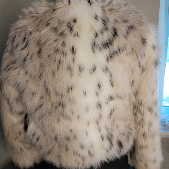 Bomber Jacket - Picture 4 of 6